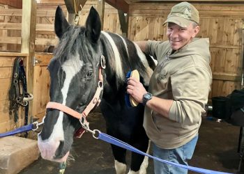Maple Brook Horse Sanctuary becomes nonprofit, announces fundraisers