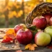 Fall for apples: The harvest is in